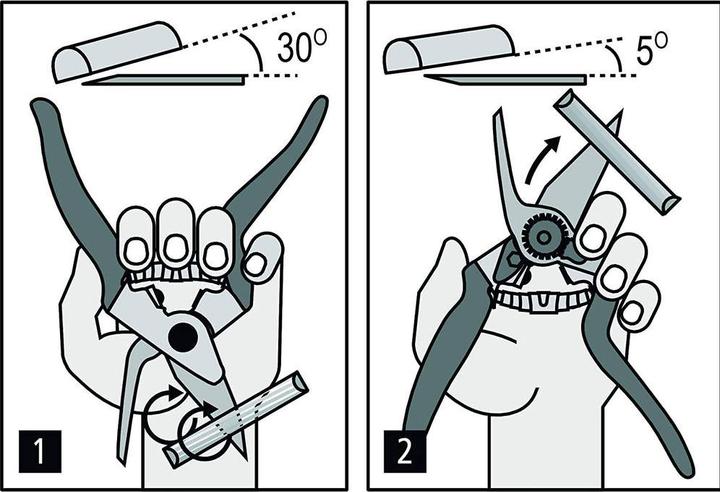 Image du produit Felco Ciseaux à griffes