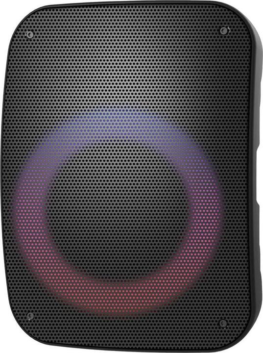 Produktbild Platinet PMG250 speaker black