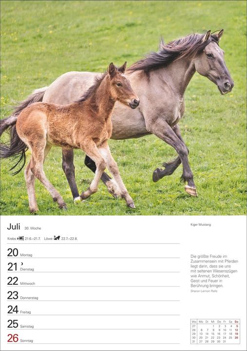 Produktbild Harenberg Pferde Wochenplaner 2026 - 53 faszinierende Fotografien