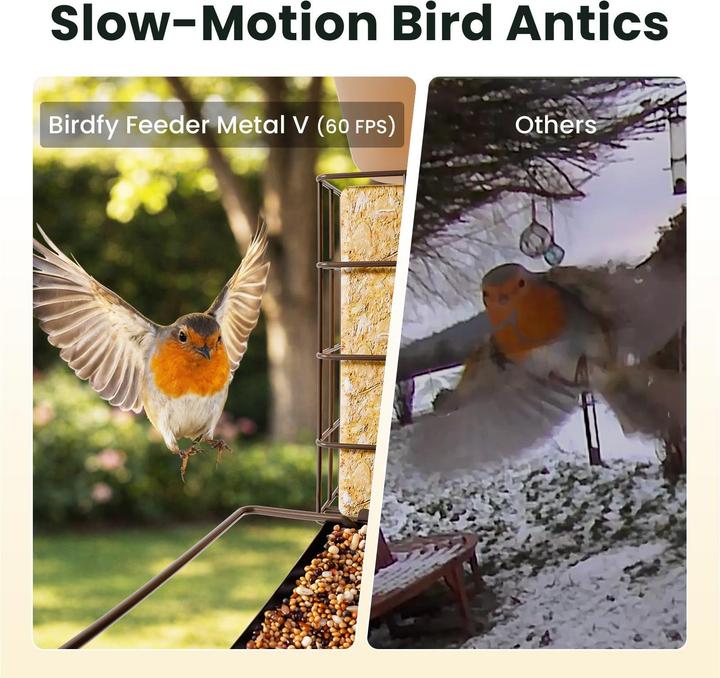 Immagine prodotto Birdfy Distributore di cibo con telecamera