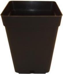 Actual product image Tamar Square pot 0.5L (9 cm)