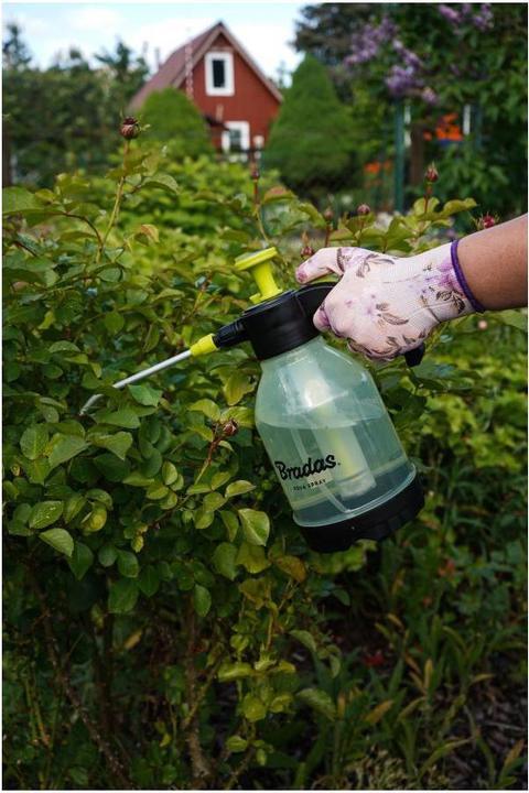Actual product image Bradas Pressure sprayer (1.50 l)