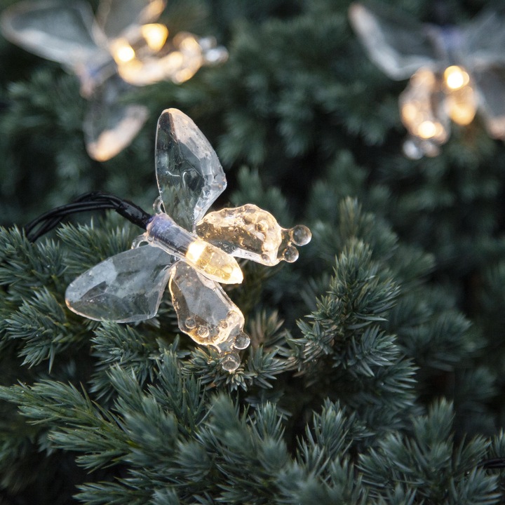 Produktbild Star Trading Papillon (0.18 m)