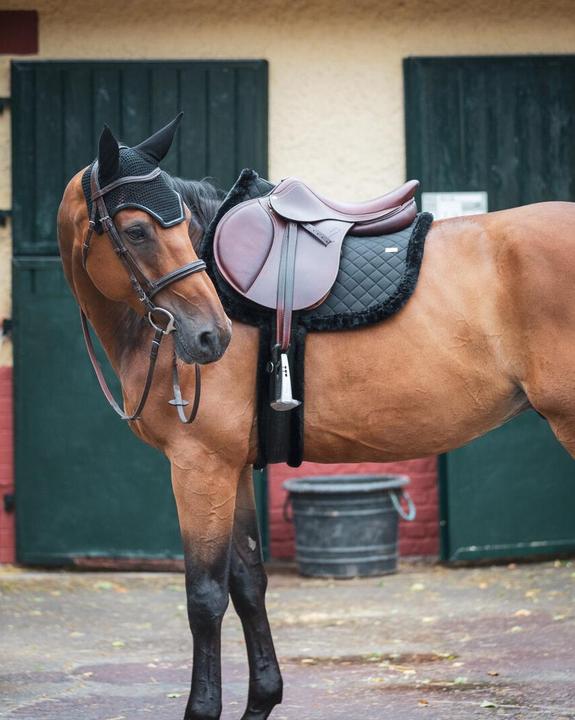 Produktbild GEM Winter