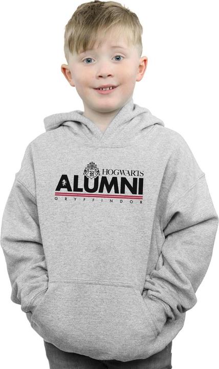 Immagine prodotto Hogwarts Alumni Gryffindor Felpa con Cappuccio Ragazzi (128)