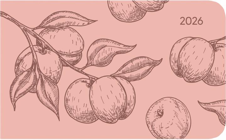 Image du produit Alpha Edition Ladytimer TO GO Deluxe Salmon 2026 - Taschen-Kalender 15,3x8,7 cm - Tucson Einband - mit (15,3x8,7 cm)