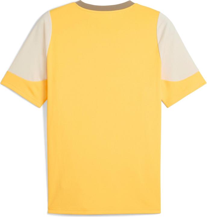 Actual product image Puma ACM Training Jersey (L)