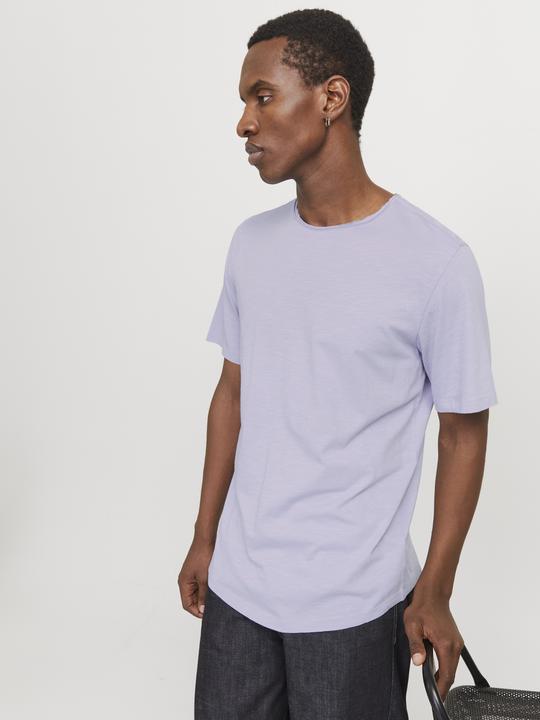 Actual product image Jack & Jones Jjebasher Tee O-Neck Ss Noos (XS)