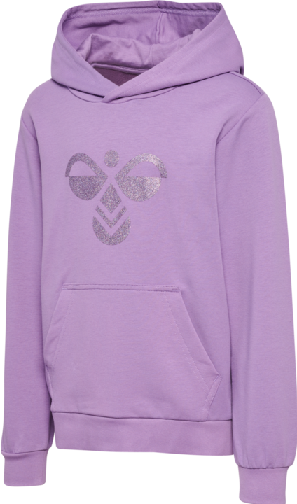 Produktbild hummel hmlCUATRO HOODIE (104)