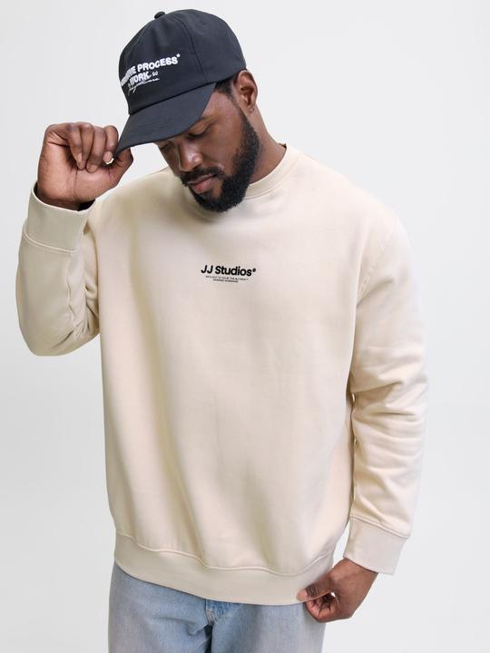 Actual product image Jack & Jones Plus Size Gedruckt Sweatshirt Sweatshirt (4XL)