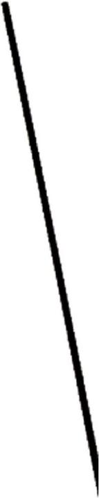 Immagine prodotto NoName Asta in fibra di vetro 3mm 1,25m