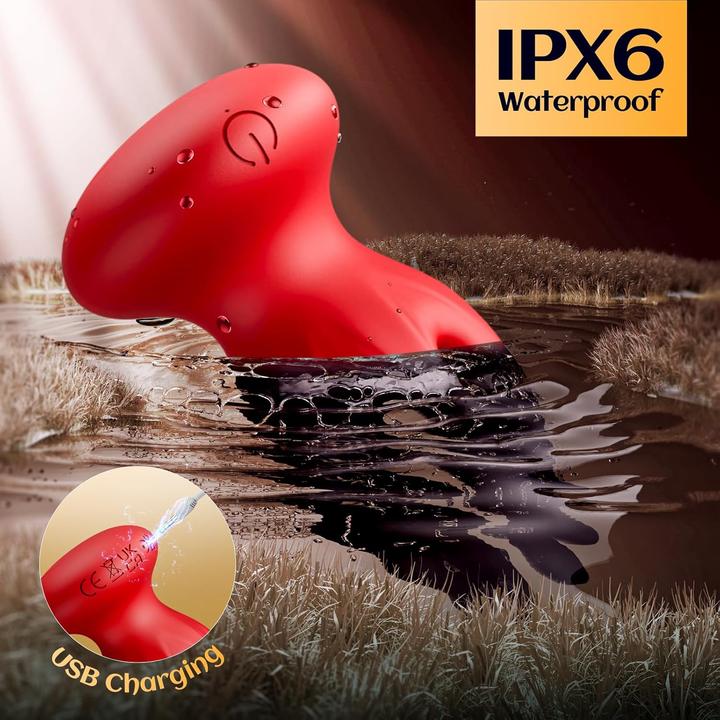 Actual product image NoName Octopus