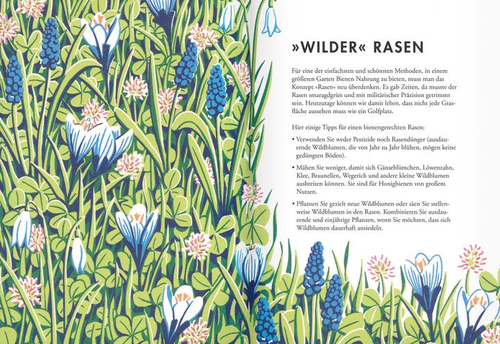Produktbild Pflanzen für Honigbienen (Deutsch, Sarah Wyndham Lewis, 2018)