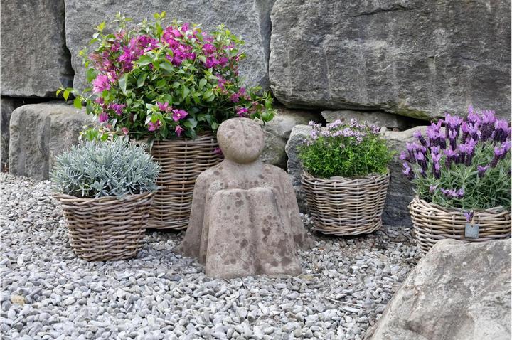 Image du produit Jaco Drypot (52 cm)