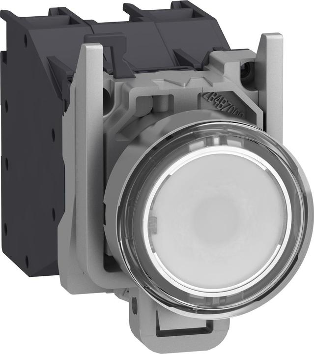 Produktbild Schneider Electric XB4BP183BM5GEX