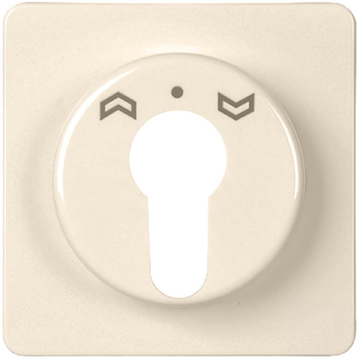 Actual product image Schneider Electric Central plate for key switch for 223054