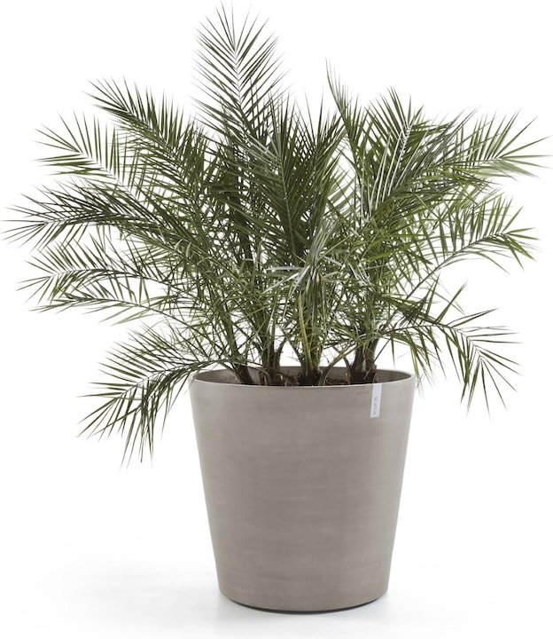 Produktbild Ecopots Amsterdam Wheels (60 cm)