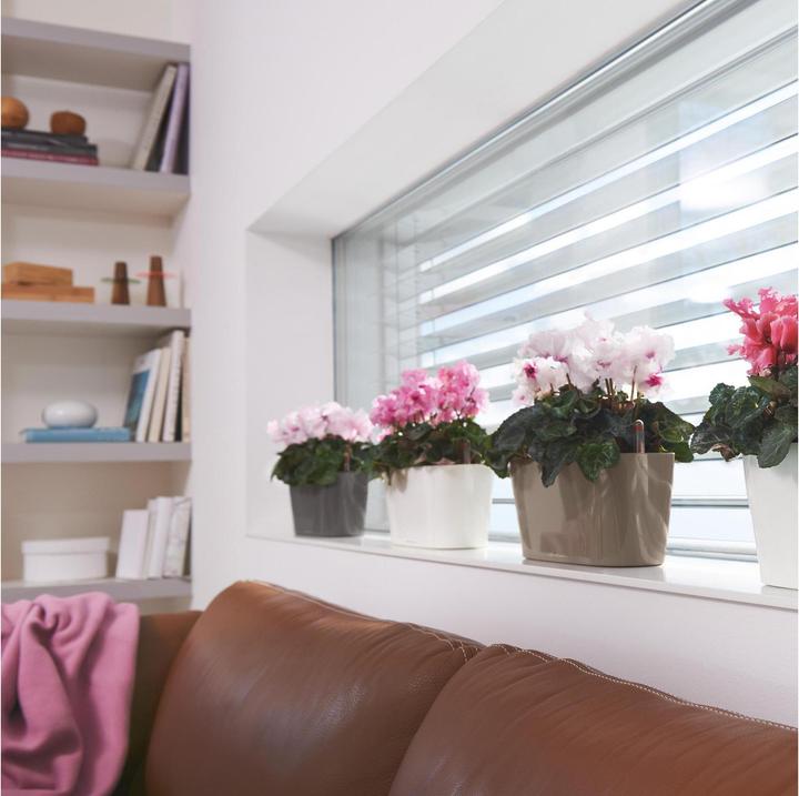 Produktbild Lechuza Delta (30 x 11 x 13 cm)