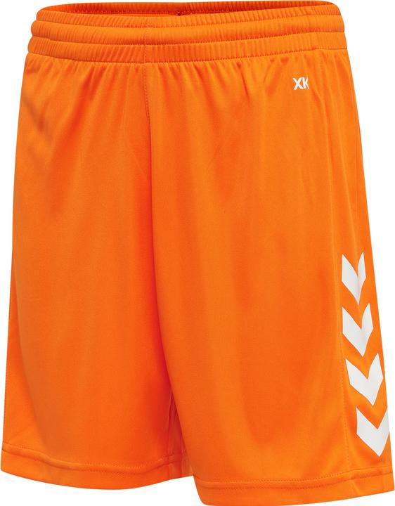 Tigre orange