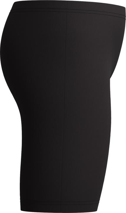 Actual product image Speedo Plastisol Placement Aquashort (164)