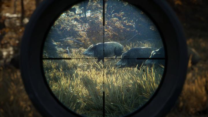 Produktbild THQ PS4 The Hunter Call of the Wild (PS4, FR, EN)