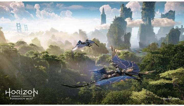 Actual product image Sony Horizon Forbidden West (PS5, EN)