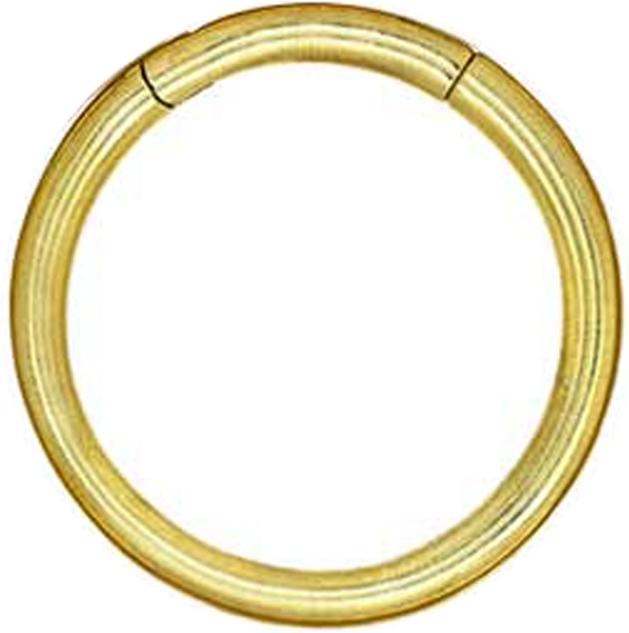 Produktbild Star Piercing Ohrgewicht Segmentring klappbar vergoldet (Messing)