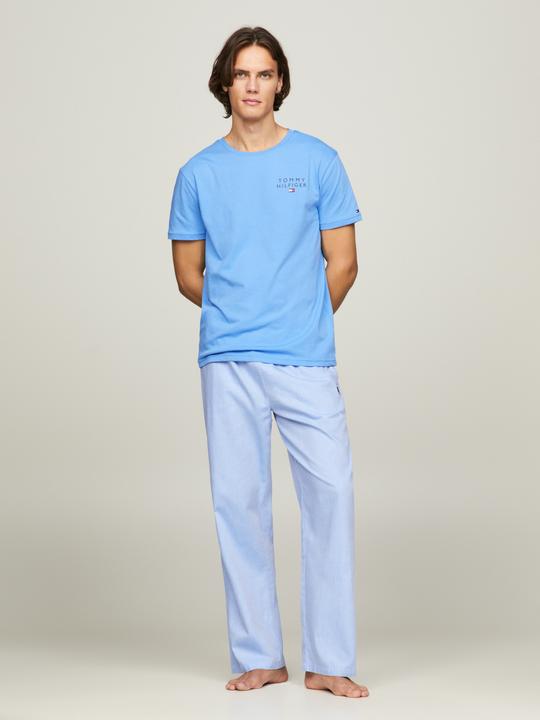 Actual product image Tommy Hilfiger Men's T-shirt CN Tee Logo (L)