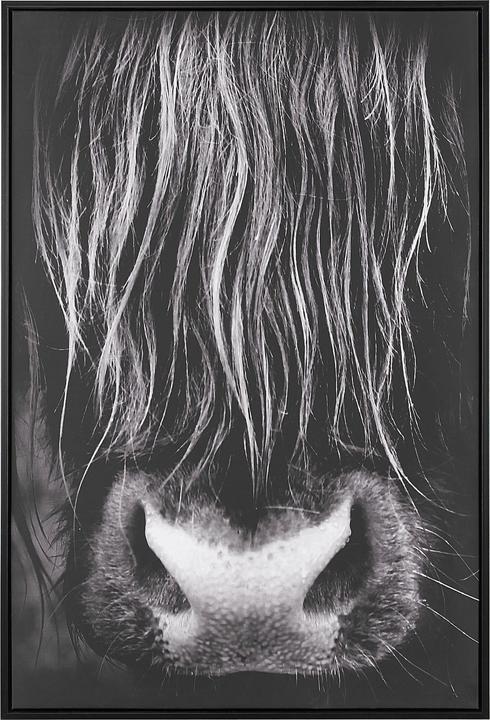 Beliani Galeata (63 x 93 cm)