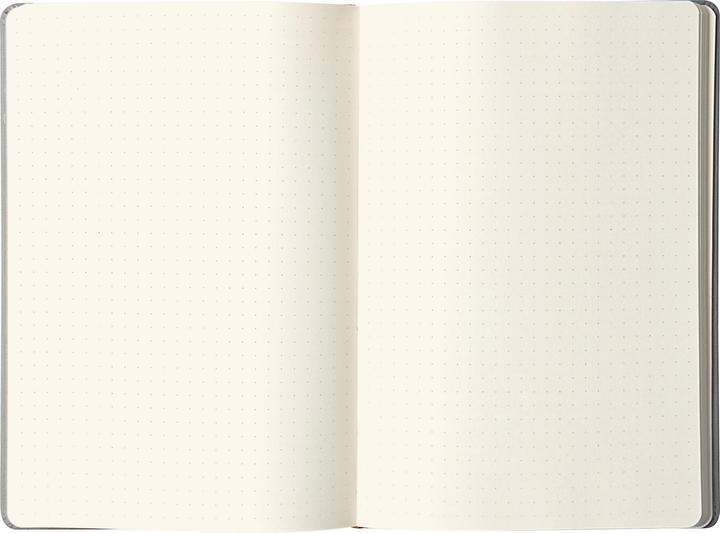 Actual product image Rhodia Notebook/Booklet Boutiqu (A5, Special ruling, Hardcover)