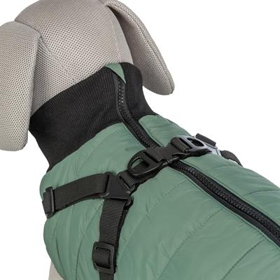 Image du produit Trixie Pontis coat with harness, S: 40 cm, sage (S, Manteau pour chien)
