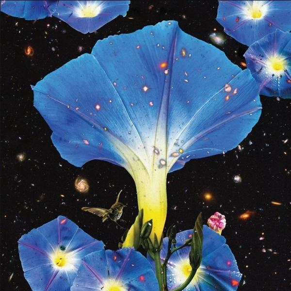 Actual product image Nighttime Birds And Morning Stars (Sarah Louise)