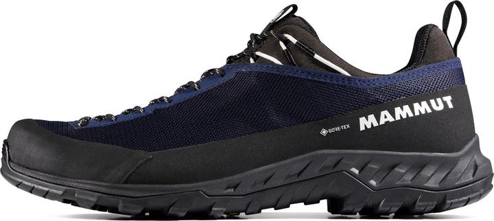 Produktbild Mammut Alnasca IV Low GTX Men (44)