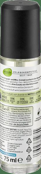 Actual product image dm alverde MEN Sports Nature (Spray, 75 ml)