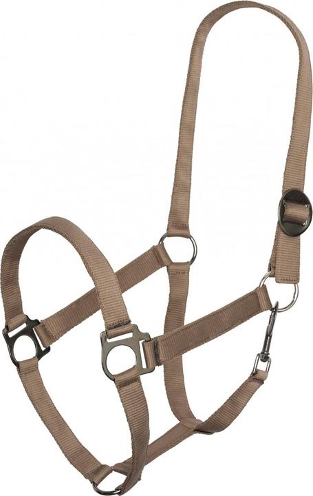 Imperial Riding Economic