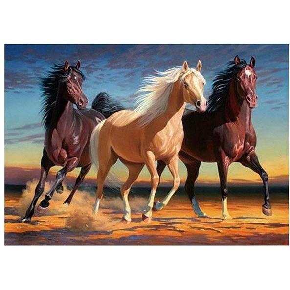 Norimpex 5D-Diamantmosaik - Pferde 40x30cm