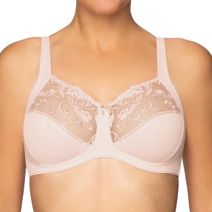 Rose poussiéreuse