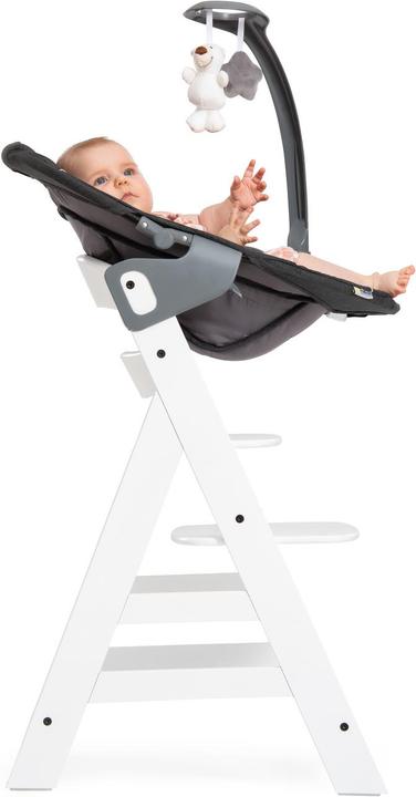 Actual product image Hauck Alpha Bouncer Deluxe