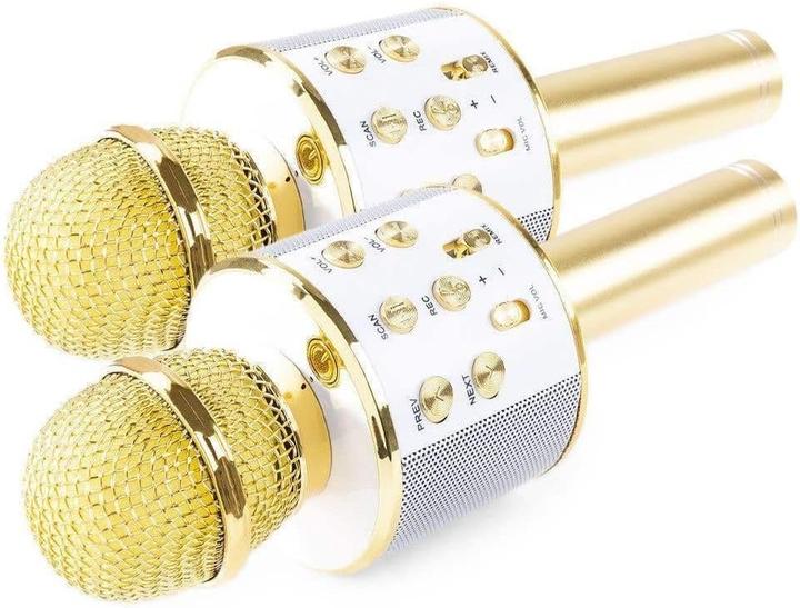 Produktbild Max Music Karaoke Mikrofone