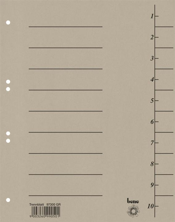 Actual product image Bene Trennblatt DIN A4 Karton grau 100 St./Pack.