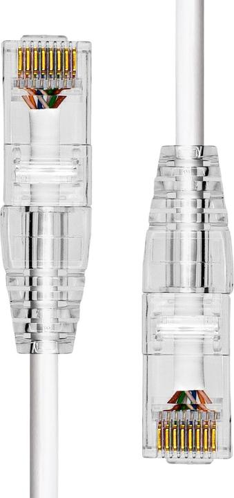 Actual product image ProXtend Slim CAT6A UTP Ethernet Cable White 12.5m (CAT6, 12.50 m)