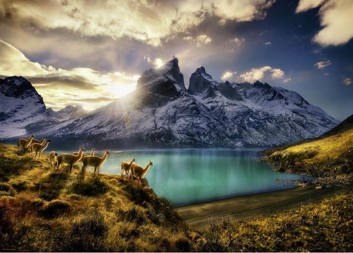 Image du produit Heye Guanacos (1000 pièces)