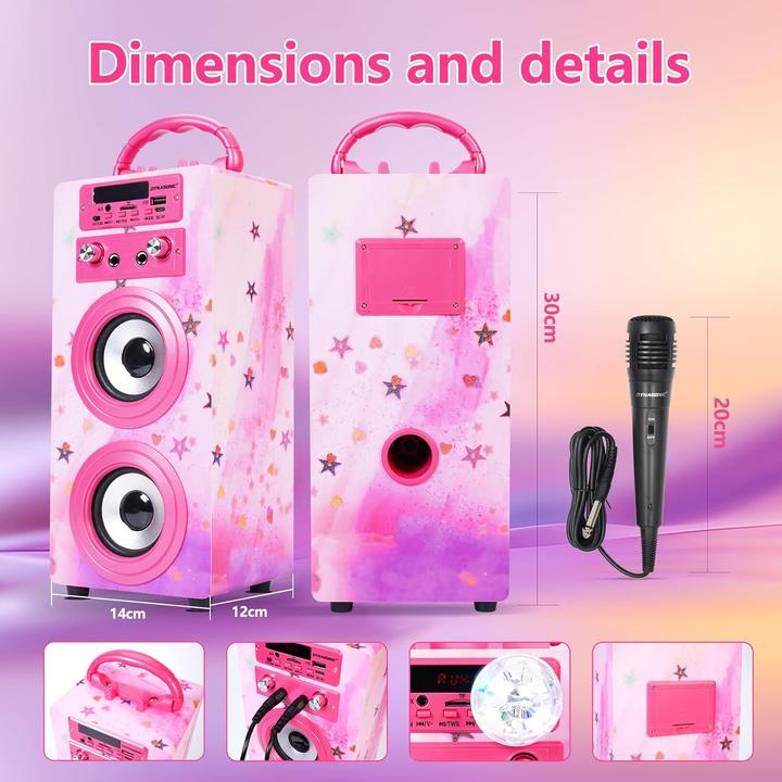 Actual product image Dynasonic Tragbare Karaoke-Maschine mit 2 Mikrofonen