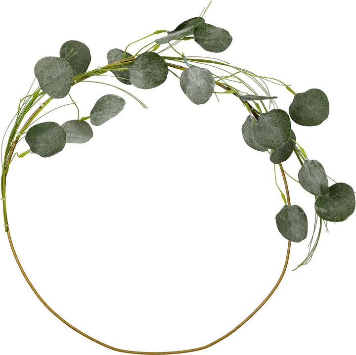 Casativo Eukalyptusring