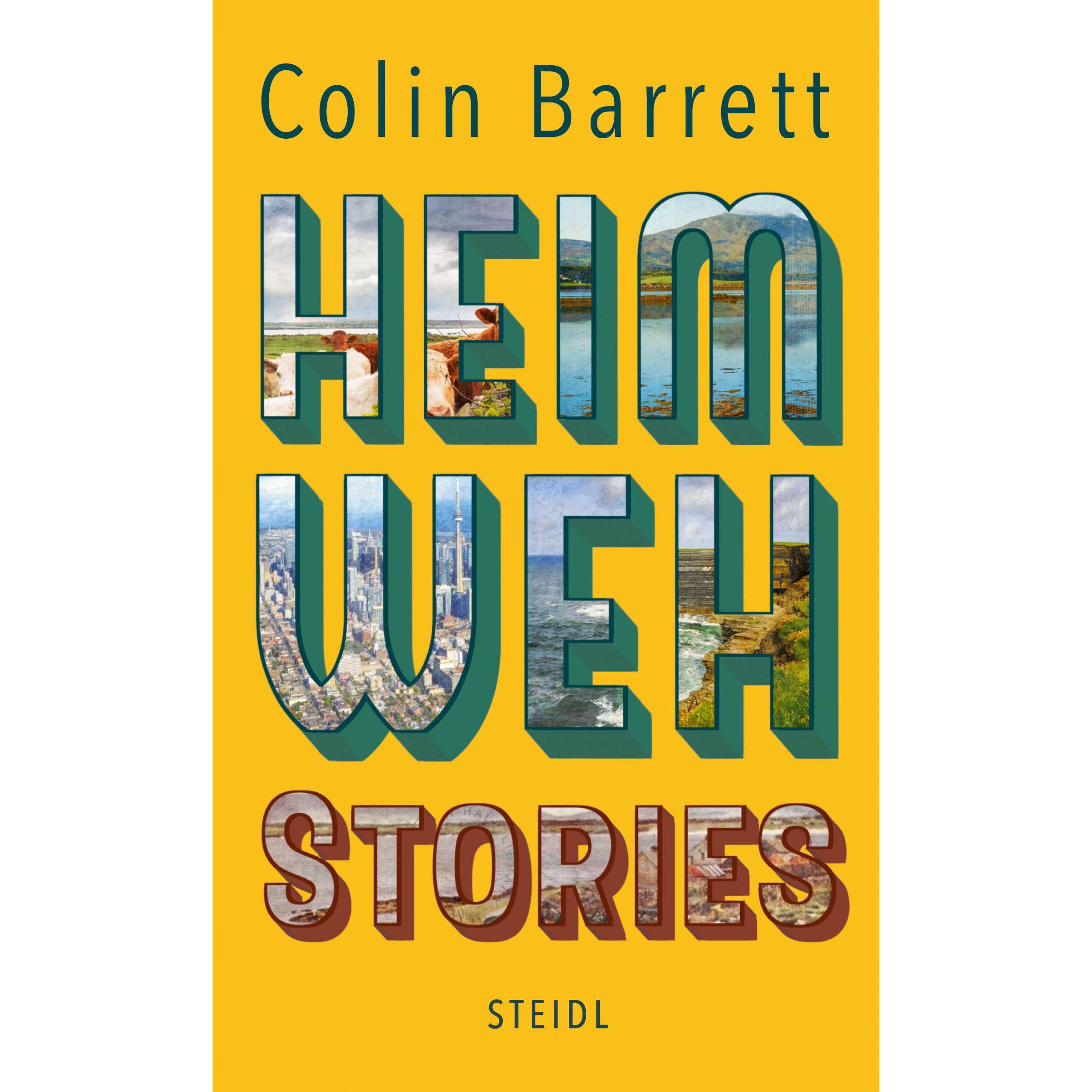 Heimweh, Belletristik von Colin Barrett