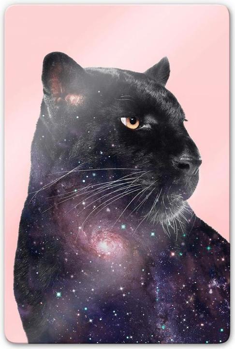 Produktbild Trenddeko Galaxy Panther (40 x 60 cm)