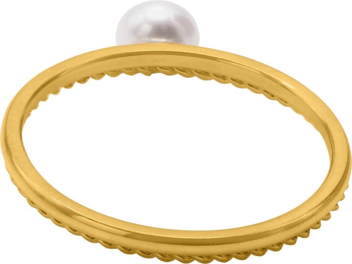 Image du produit Heideman Maxsu doré (100% acier inoxydable)