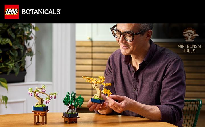 Produktbild LEGO Mini-Bonsais Set (10373, LEGO Botanicals)
