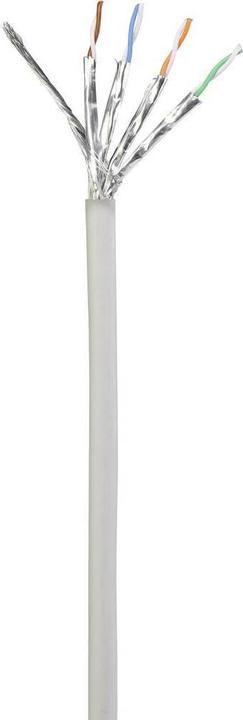 Produktbild Renkforce RF-5047510 RJ45 Netzwerkkabel, Patchkabel CAT 6a S/FTP 0.25 m Grau mit Rastnasenschutz, Flammwidrig (S/FTP, CAT6a, 0.25 m)