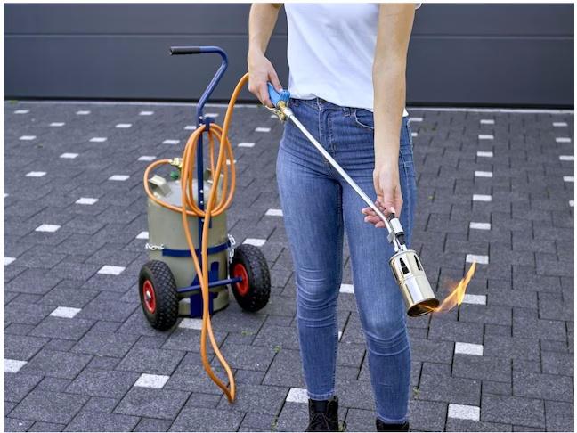 Actual product image CFH Flame treatment unit PZ6500